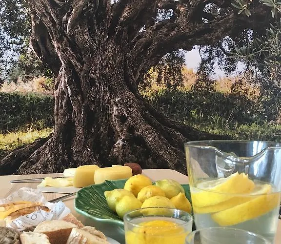 Hébergement de vacances Casa Dos Patios *